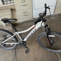 Giant Bike 24