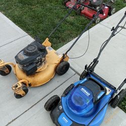Kobalt Cordless Mower & Cub Cadet Self Propelled Mower