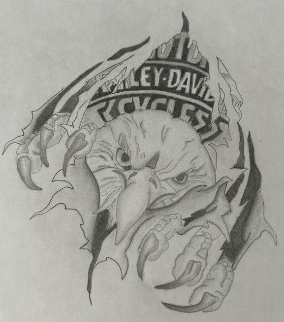 Eagle Drawing
