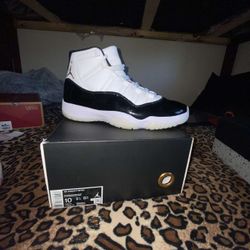 Dmp 11s