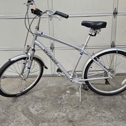 Specialized Expedition Large Frame