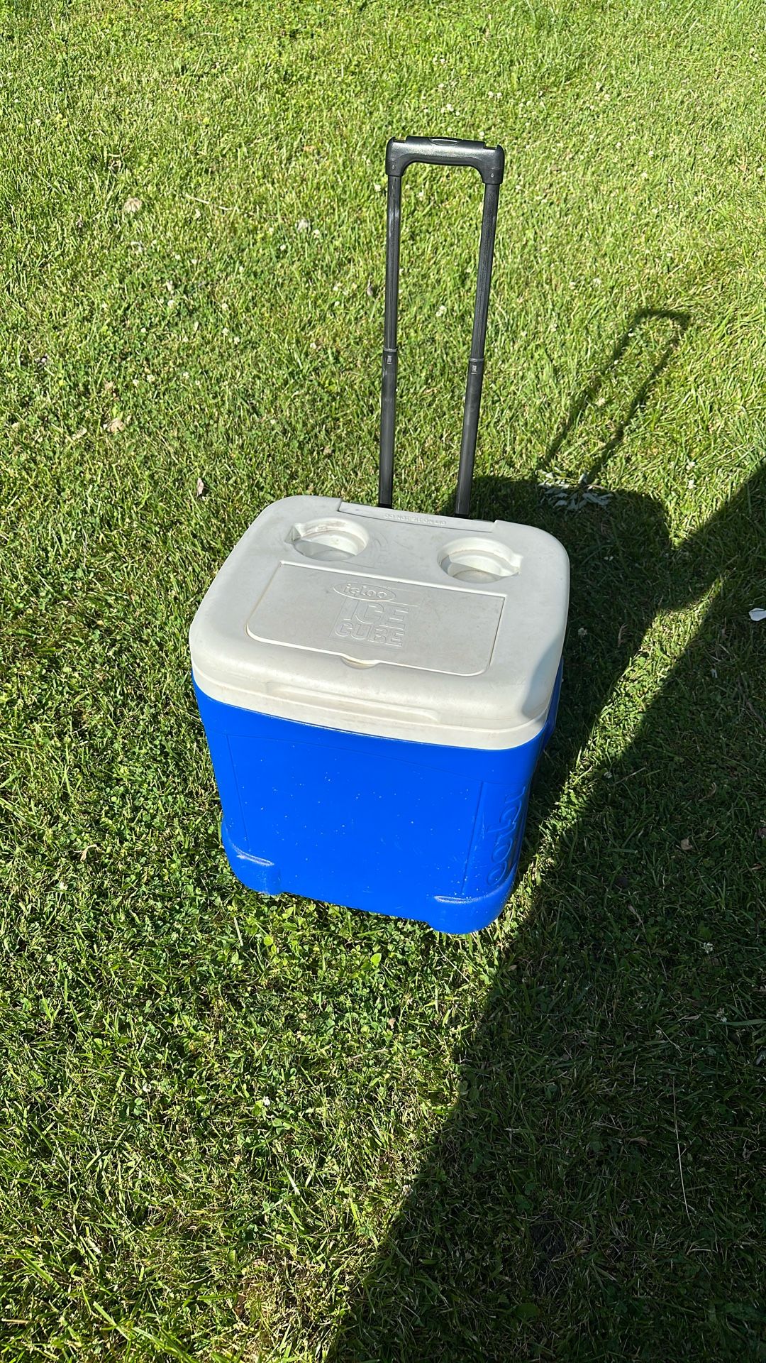 Cooler