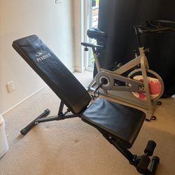 Workout Bench (Adjustable) 