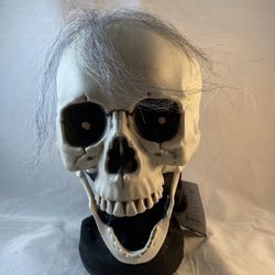 10 Inch Animated Skull Bust Halloween prop decoration