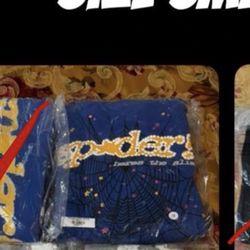 Blue Spider Hoodie