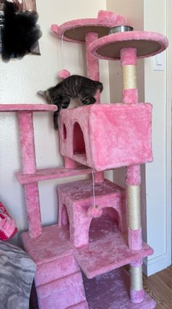 Cat tree
