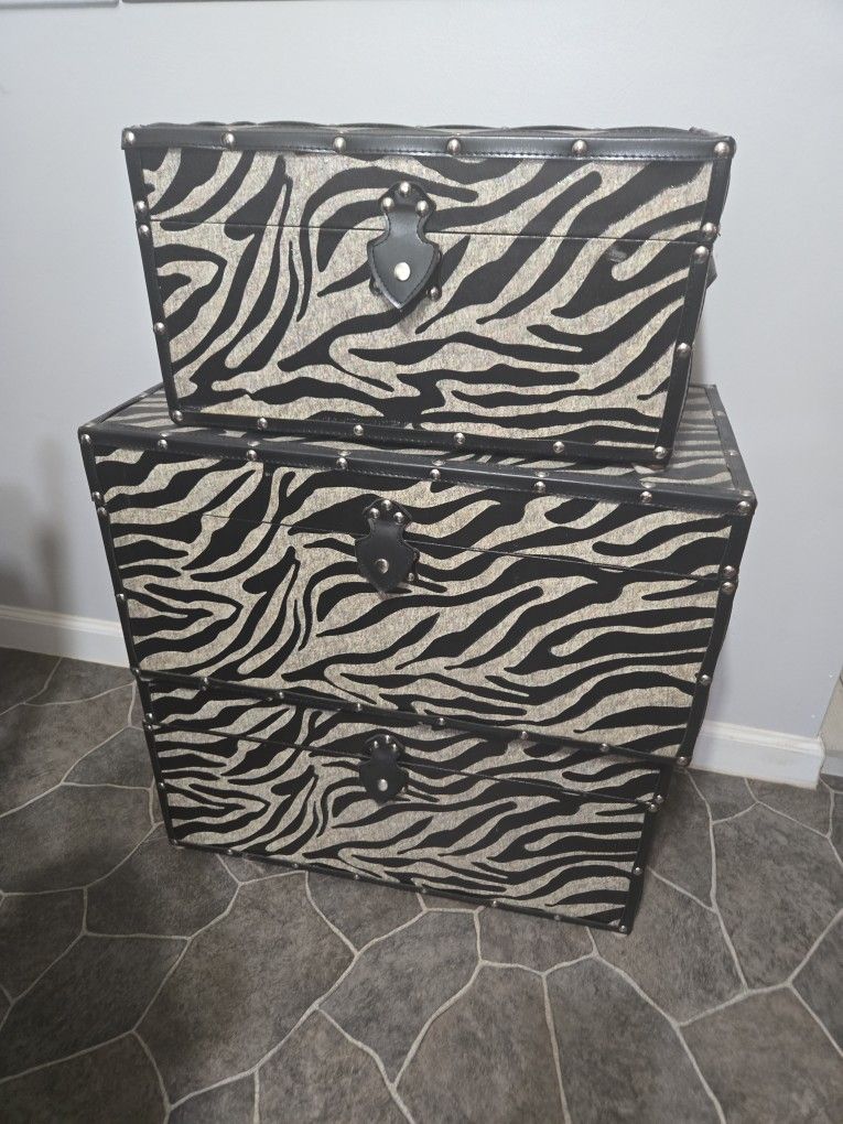 3 Strong Storage Trunks