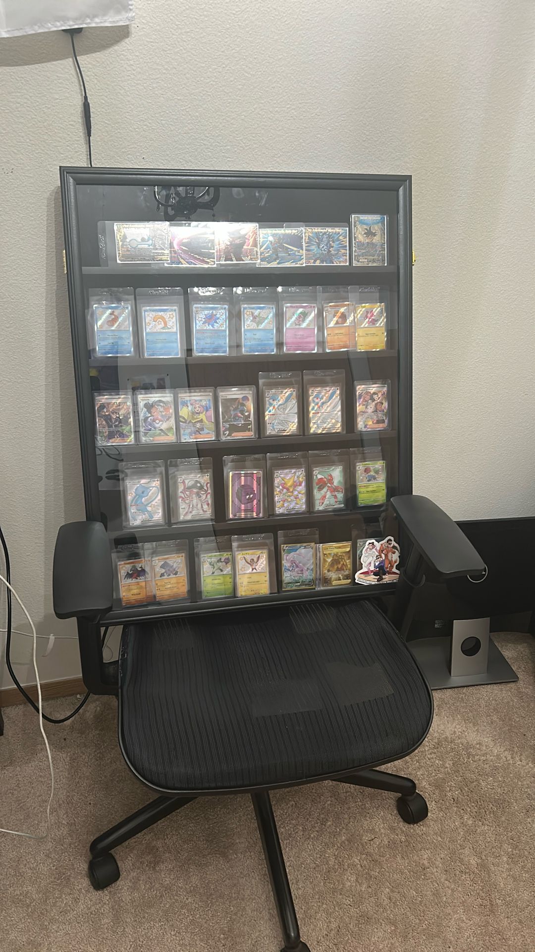Card Case With Cards