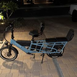 Lectric Xpedition 2.0, 31 Miles On Bike