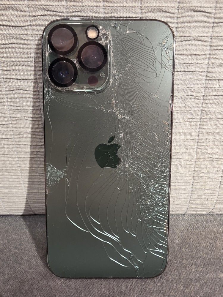 IPhone 13 Pro Max, need gone