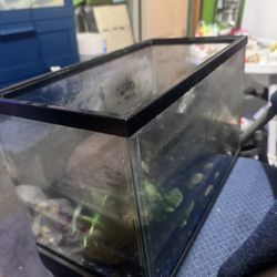 Fish Tank 5 Gallon