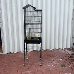 Bird Cage 