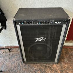Peavey Ed 300