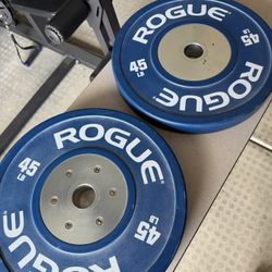Rogue Fitness Colored Training Plates 2.0 - 45 Pounds