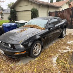 2005 Ford Mustang