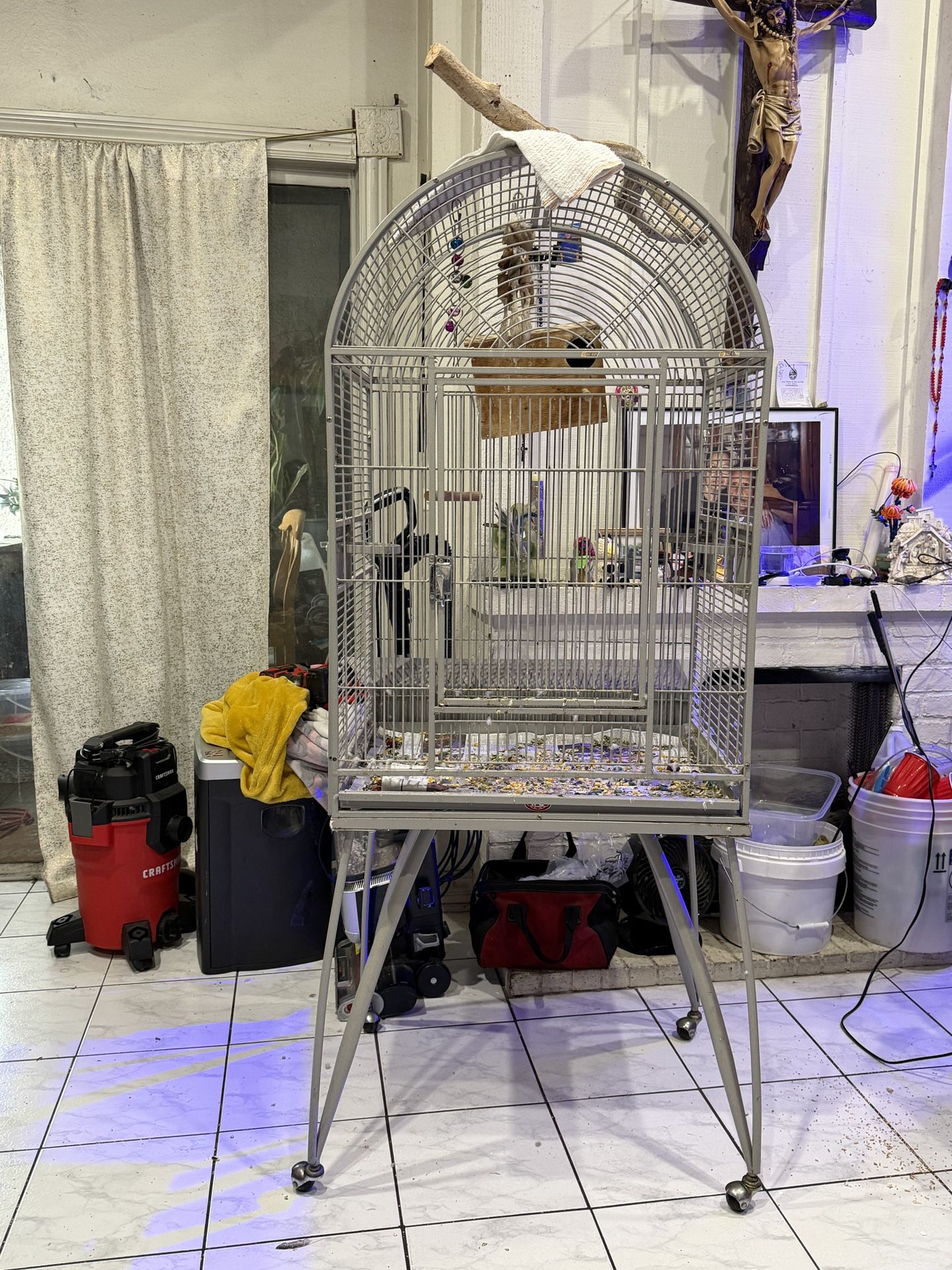 Bird Cage