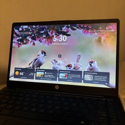 HP windows laptop (with charger)