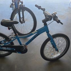 Trek Bike