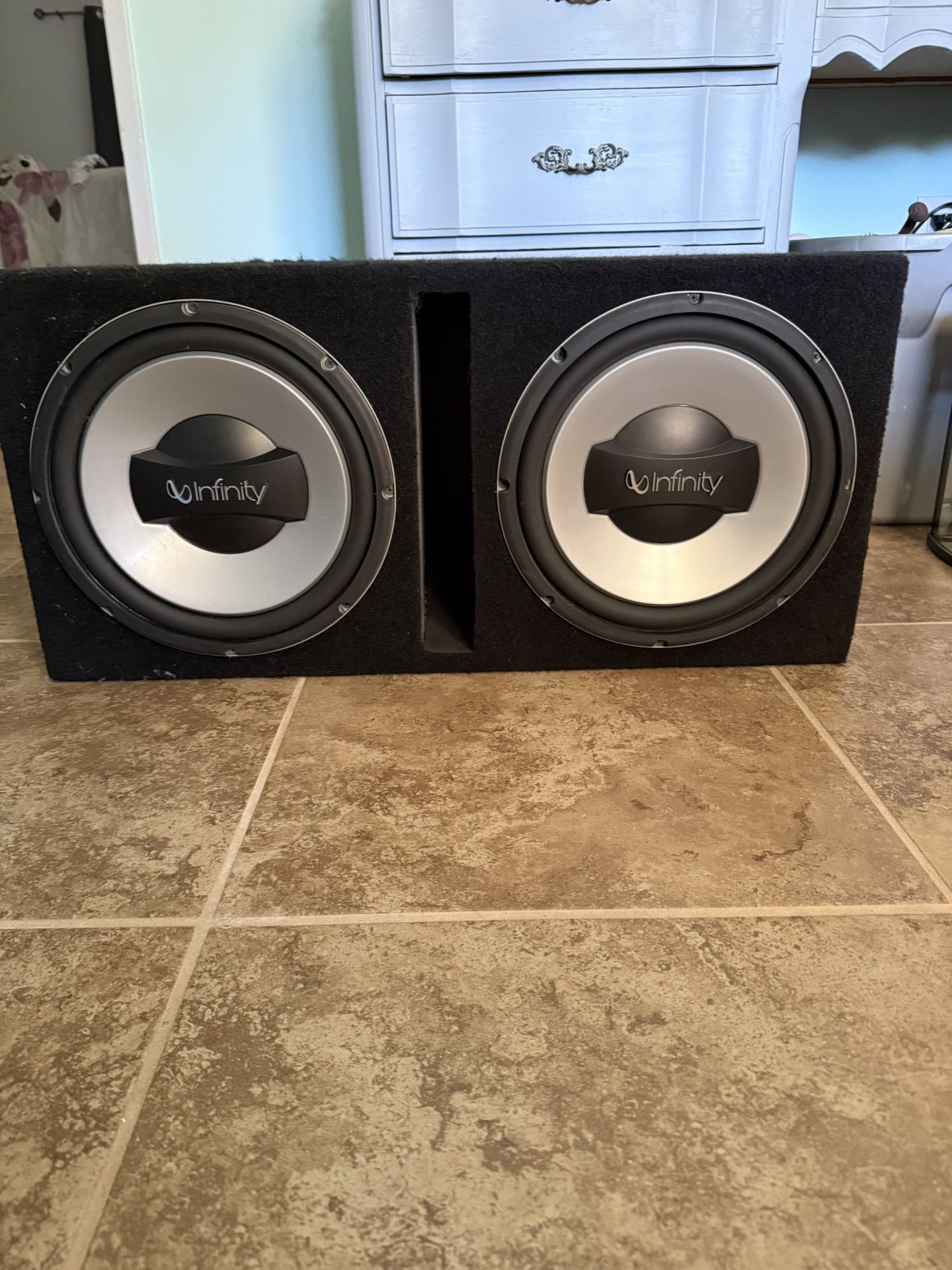 Infinity 10” Subwoofers