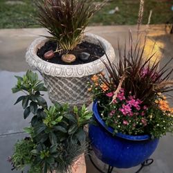Let Me Design And Pot Your Plants 