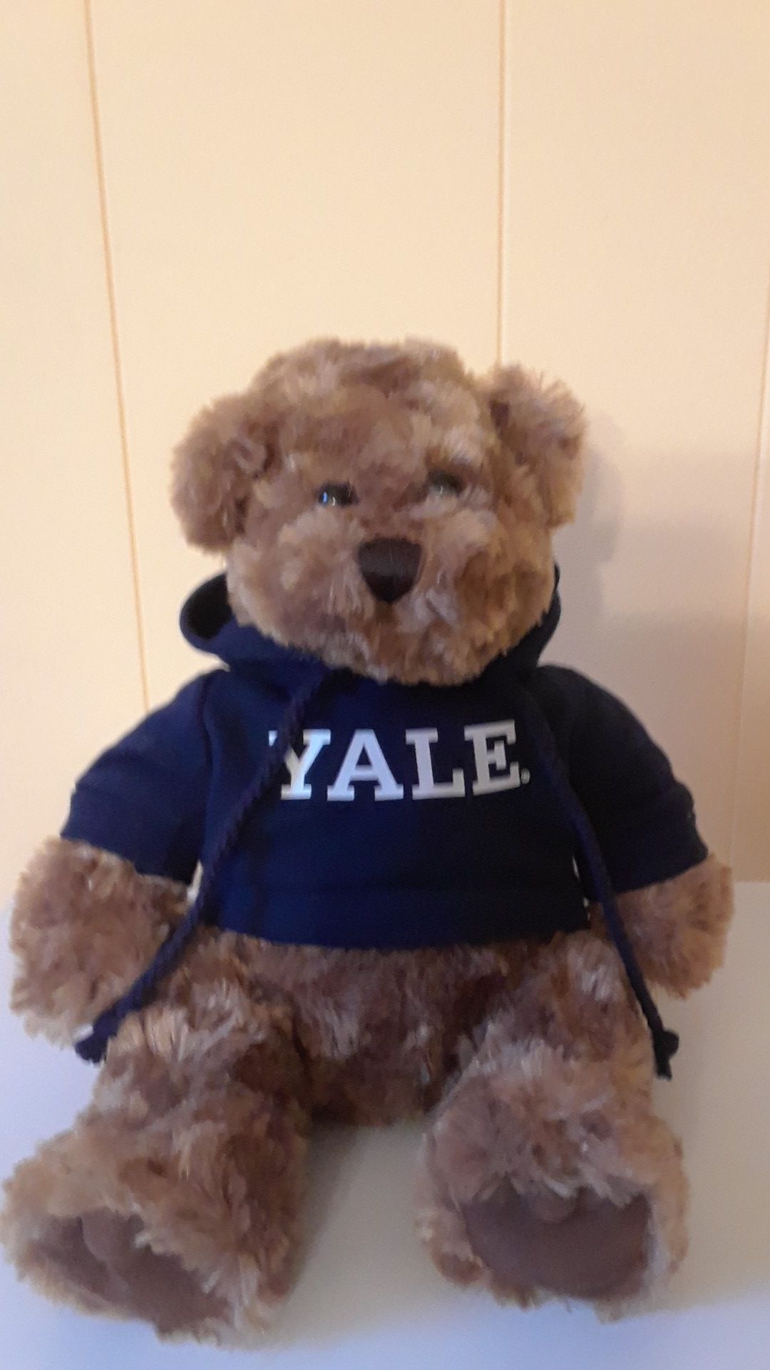 Yale teddy bear with hoodie