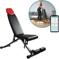 5-in-1 Adjustable Weight Bench Full Body Workout Equipment