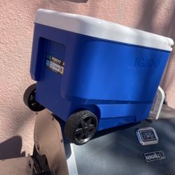 Igloo Wheelie cooler 38 quarts