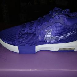 NIKE LEBRON WITNESS 8 