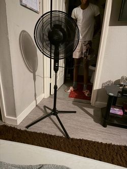 Stand up fan