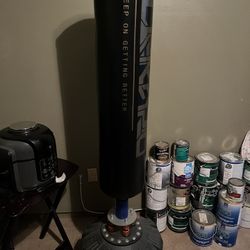 Standing Punching Bag