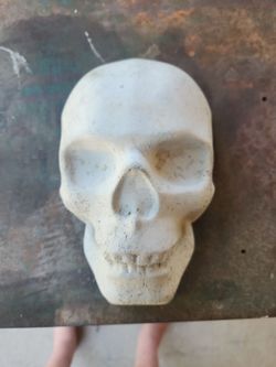 CEMENT SKULLS 8X5