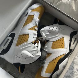 Air Jordan 6s