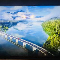 Vizio 55” Smart TV 