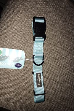 Collar For Dog Size Large