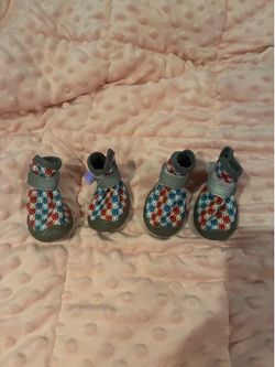 XS dog shoes