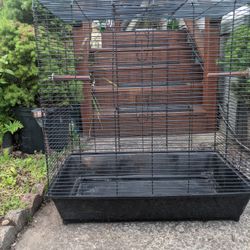 Black Bird Cage 