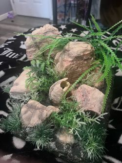 Aquarium Rock Cave Decoration with Artificial Plants