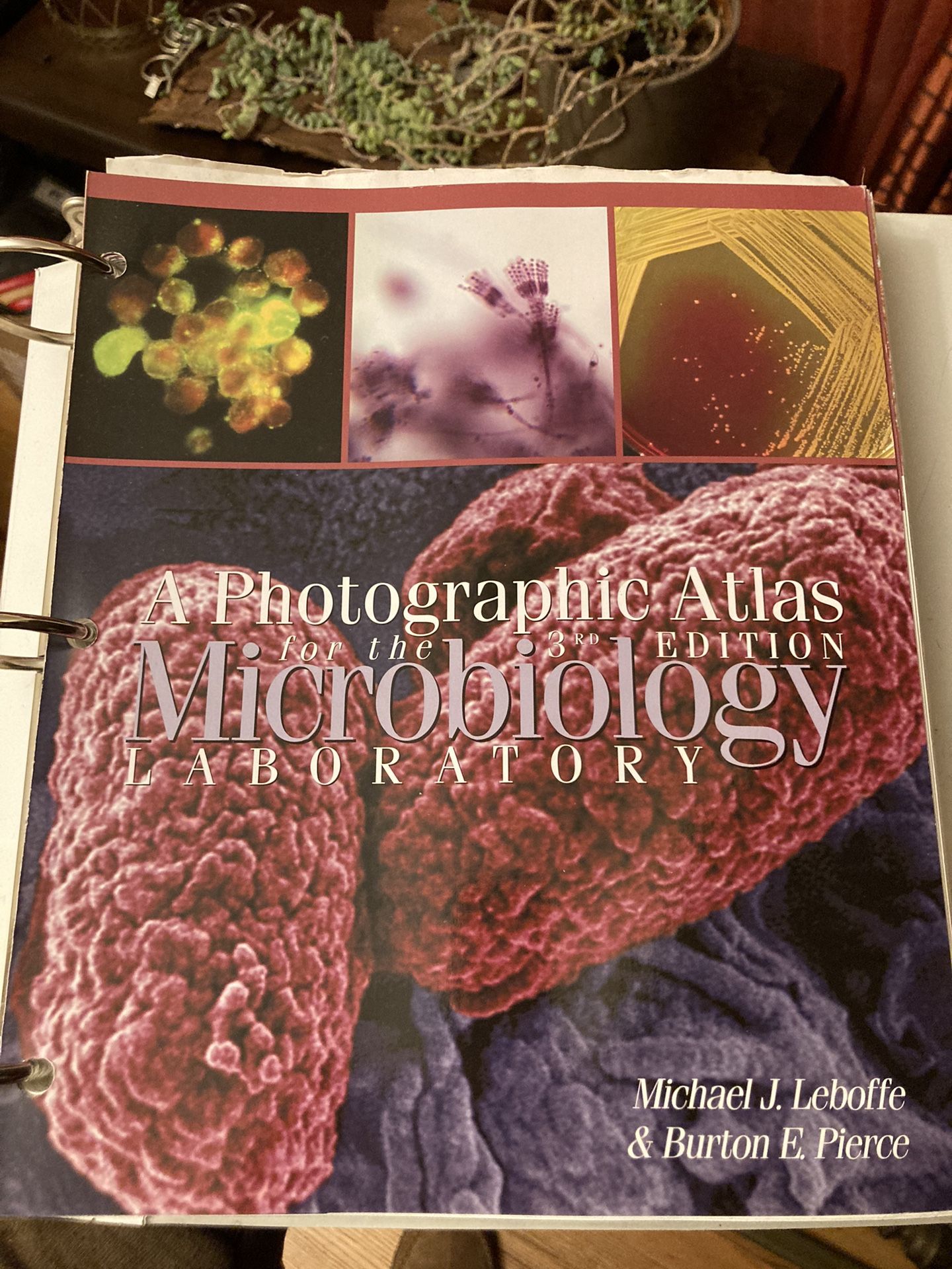 Microbiology Photographic Atlas