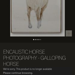 Galloping Horse Artwork Restoration Hardware