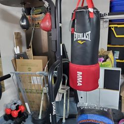 Everlast Punching MMA Heavy Bag And Speed Bag Stand 