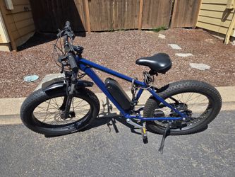Custom e-Bike
