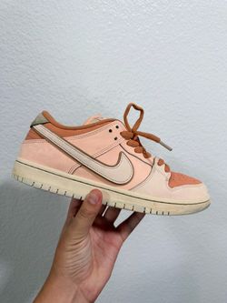 Nike dunk low sb pro