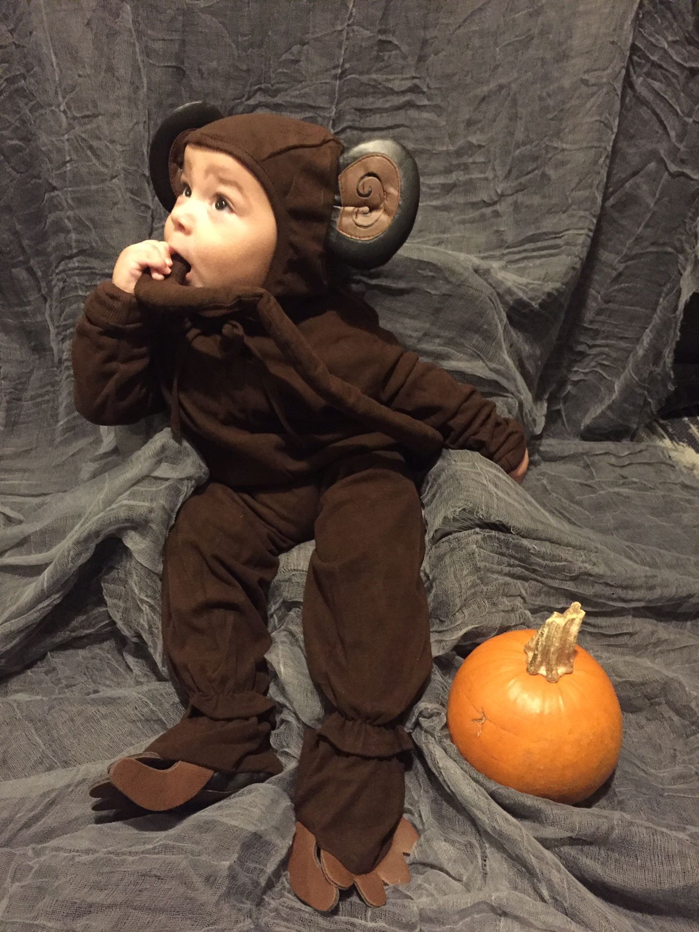 Monkey costume