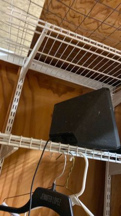 Alexa echo