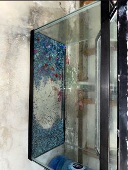 30 gallon fish tank