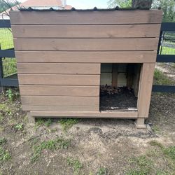 Dog house