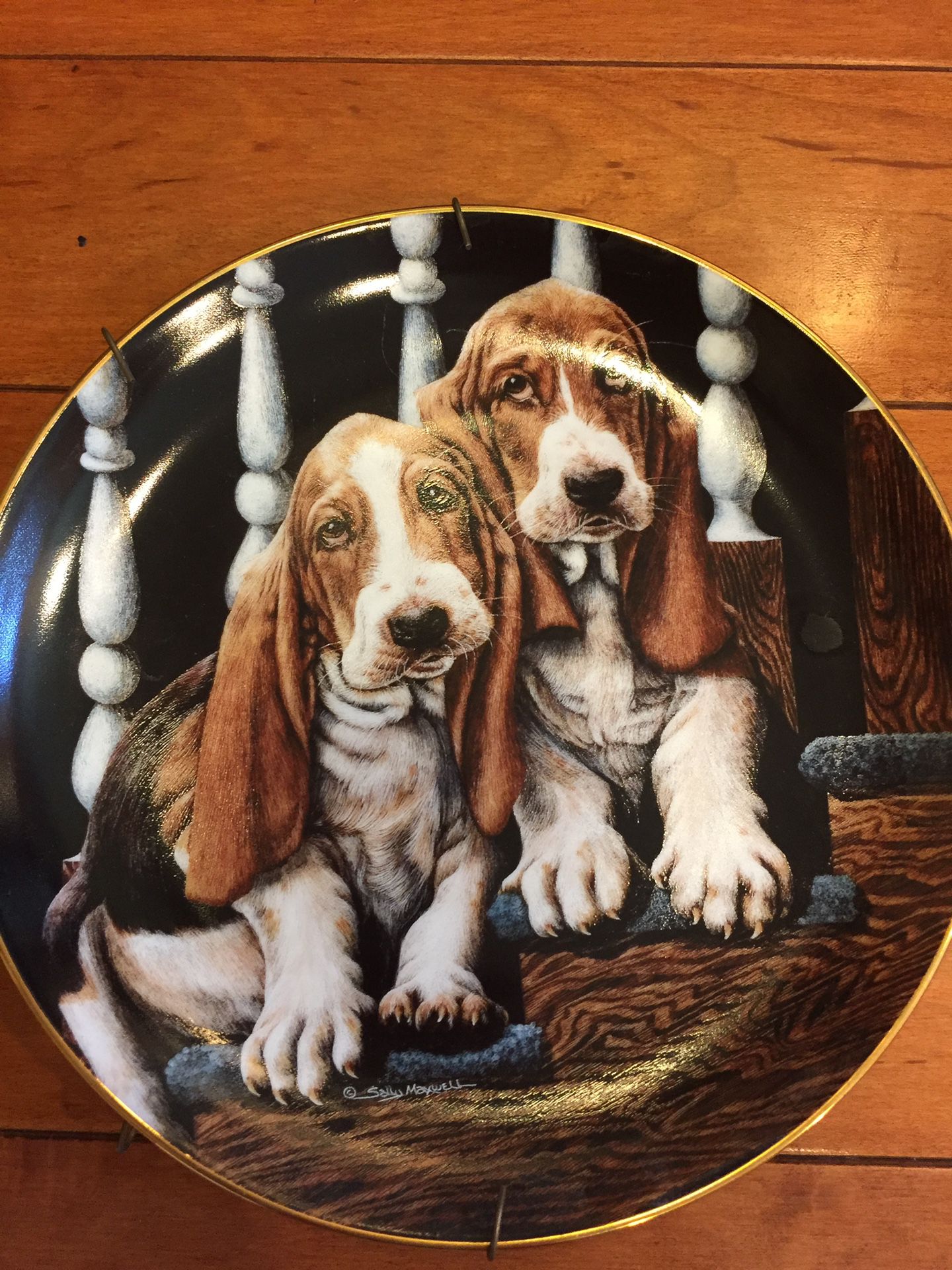 SALLY MAXWELL LOVE PUPPIES PLATE