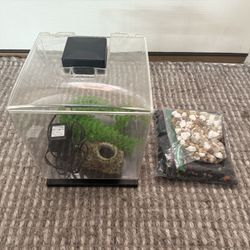Fish Tank ( 1 Gallon)