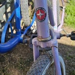Shwinn Girls Bike