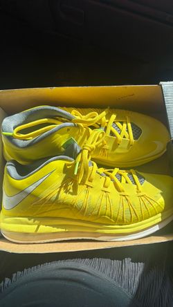 Airmax LeBron X low